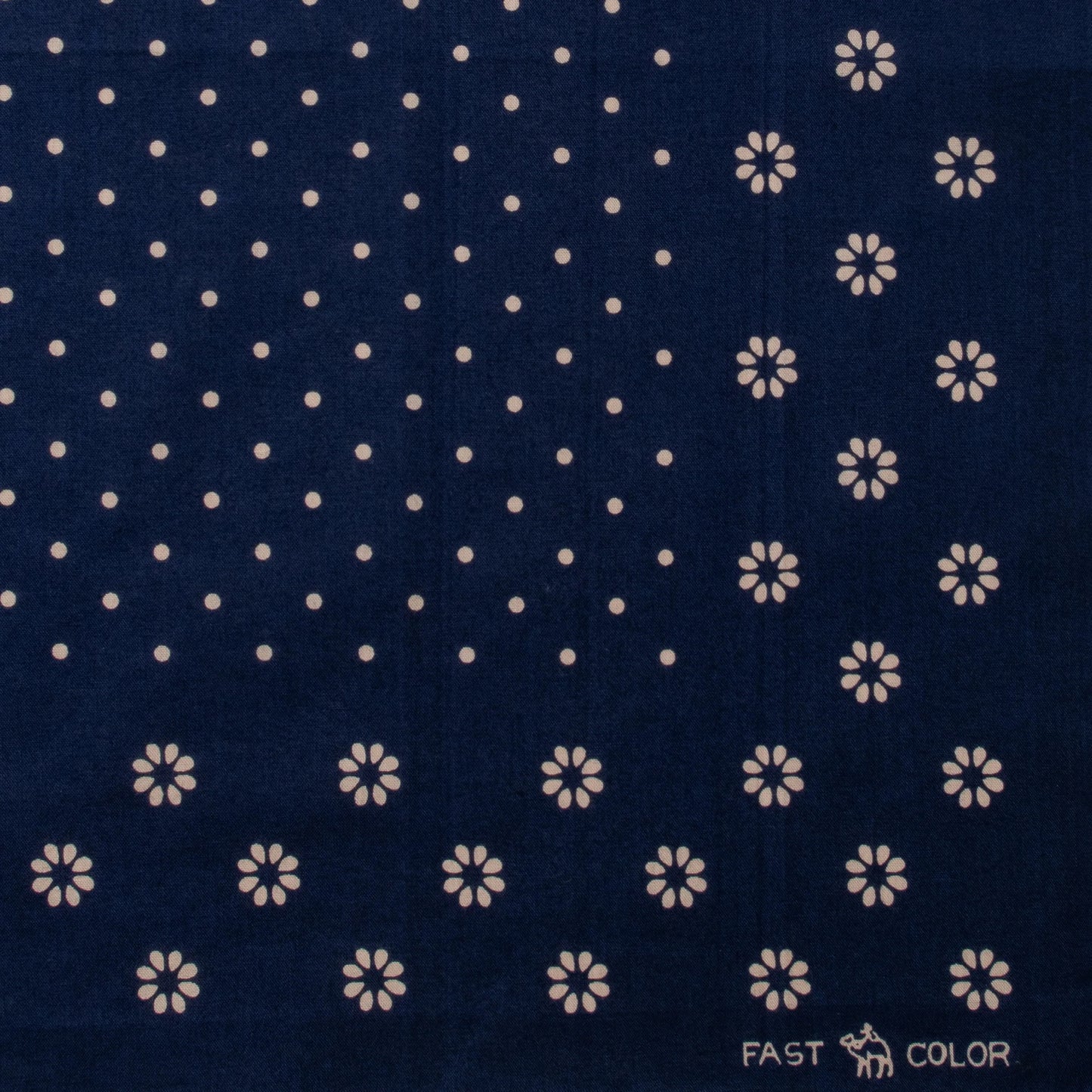 THE CAMEL BRAND - DAISY - BLUE