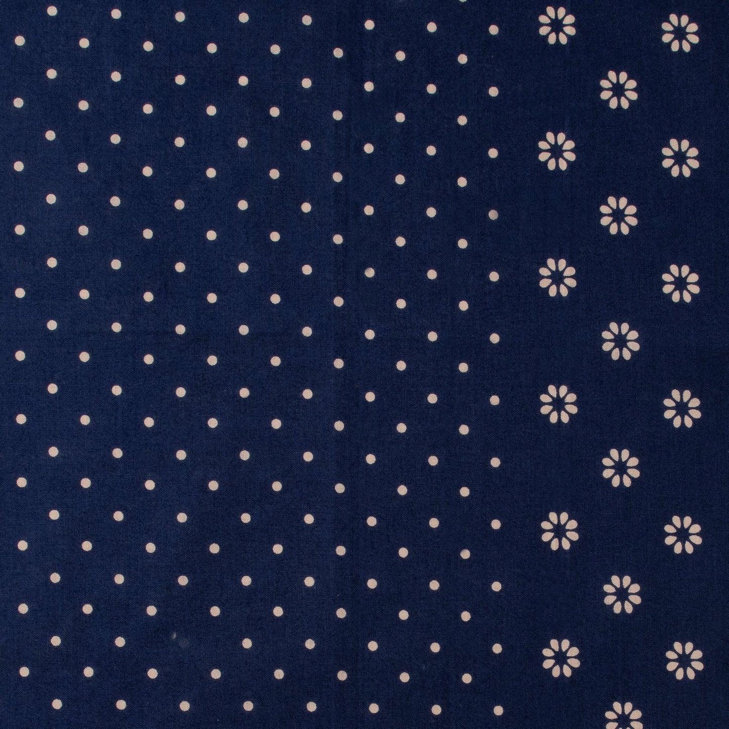 THE CAMEL BRAND - DAISY - BLUE