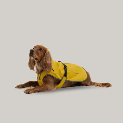 BARBOUR EVIE WATERPRROF DOG COAT - LIMEADE