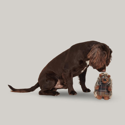 BARBOUR DOG TOY - HEDGEHOG